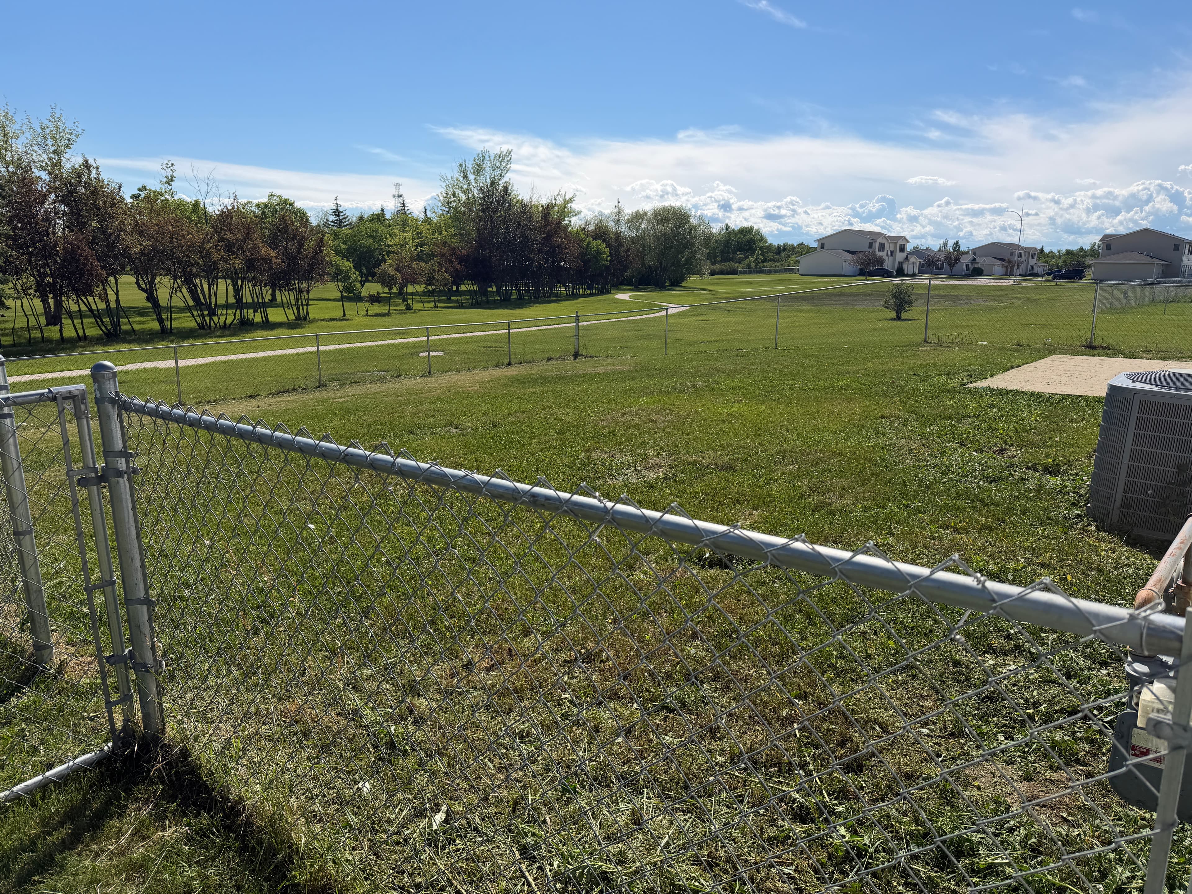 After fence line mowing cleanup