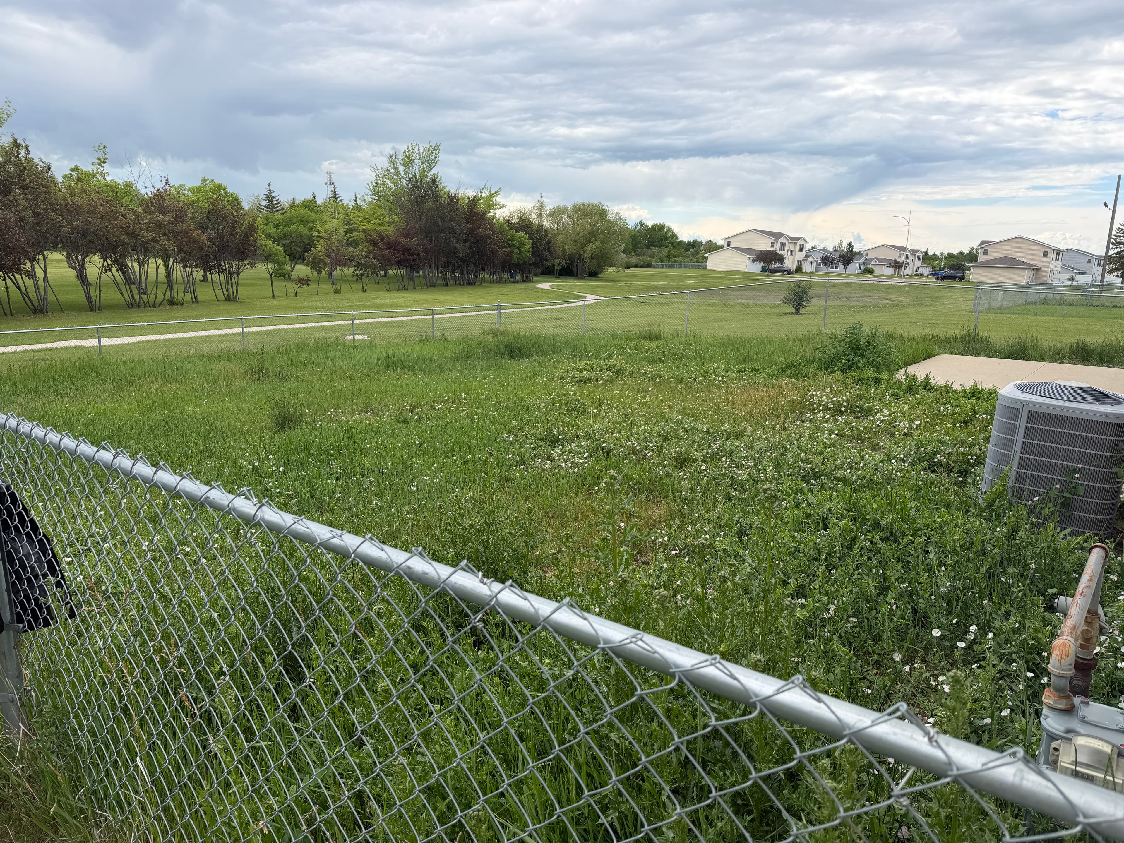 Before fence line mowing cleanup